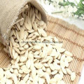 Snow White with White Skin Inshell Pumpkin Seeds